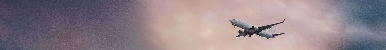 Our review of the first half of 2021 Banner