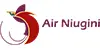 Air Niugini logo